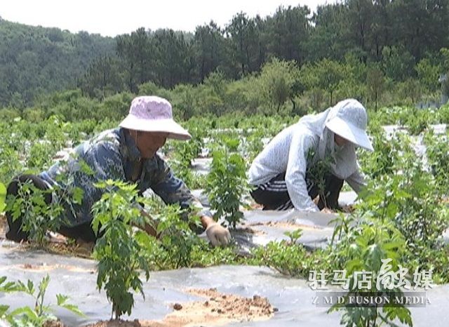微信图片_20220614161057.jpg