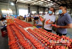 驻马店驿城区：家门口就业 方便又增收