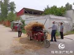 平舆县玉皇庙乡：突出“三个重点” 夯实人居环境整治成效