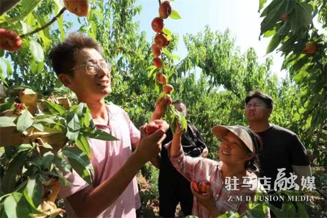 微信图片_202206201017524.jpg