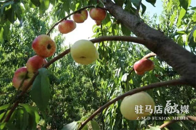 微信图片_202206201017525.jpg
