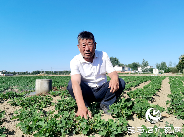 河南正阳：乡村振兴战场上的“劳模父女兵”