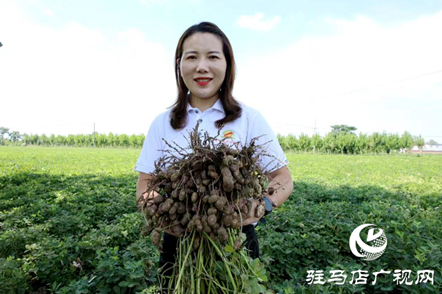河南正阳：乡村振兴战场上的“劳模父女兵”