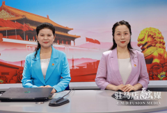 屏对屏授课 实打实提升 驻马店党员干部在线“云”学习十大战略