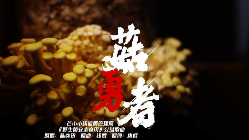 云南再出菌子神曲《菇勇者》