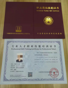 高考志愿规划师起底：证书交钱就能拿，有机构假冒“中字头”发证