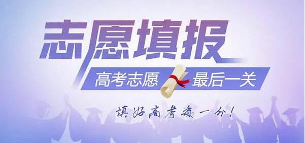 手把手教你如何志愿填报，超详细