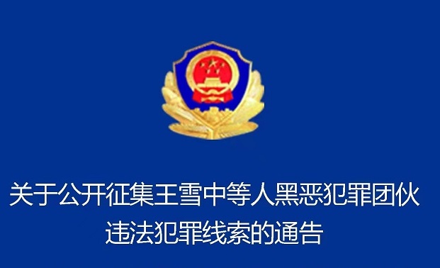 30多人被抓！驻马店警方公开征集王雪中等人违法犯罪线索！