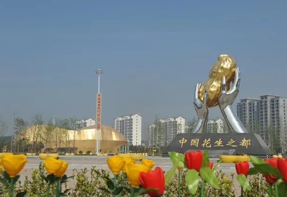 正阳县 汇聚“最强大脑”助力县域经济成高原