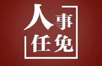 速看！河南多地发布最新人事任免