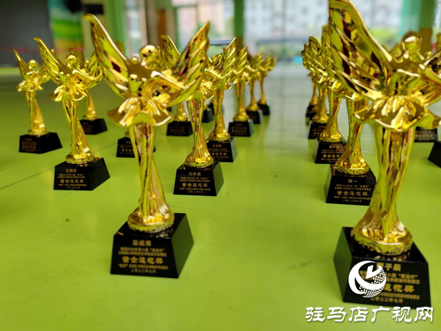 驻马店市实验幼儿园荣获2项幼儿组舞蹈大赛紫金莲花奖