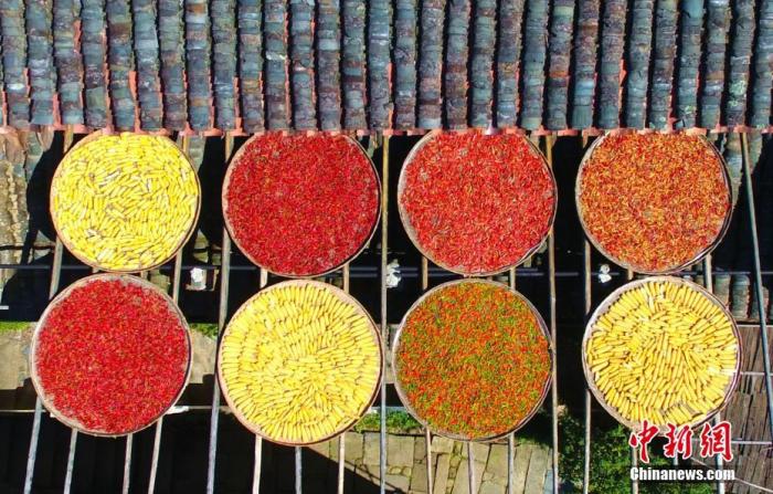 资料图：航拍下的晒架上放着辣椒、玉米等五彩缤纷的丰收成果。刘占昆 摄