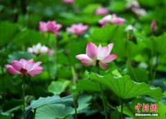 今日立秋丨这个秋天，愿你收获一切美好