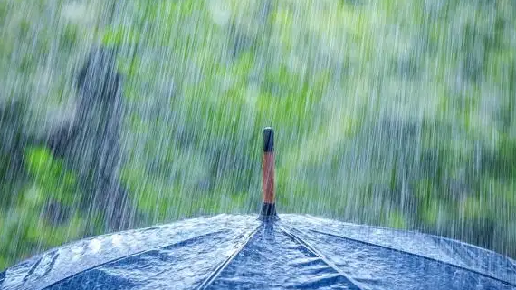 河南：今天下午到明天降水登场，北中部高温缓解