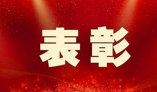 全省表彰！驻马店这些集体和个人上榜！