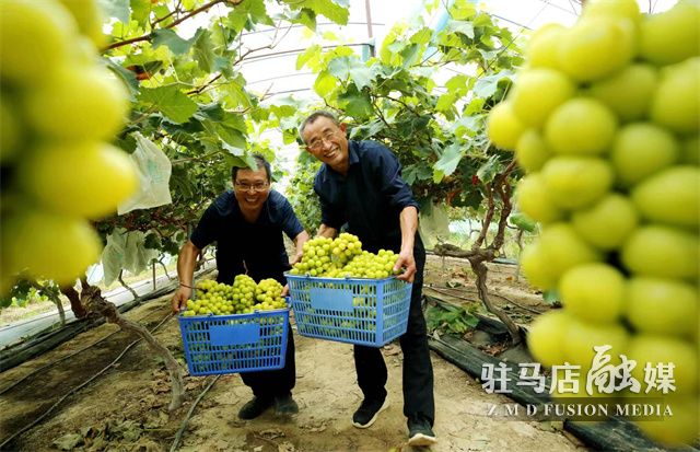 微信图片_202208101500372.jpg