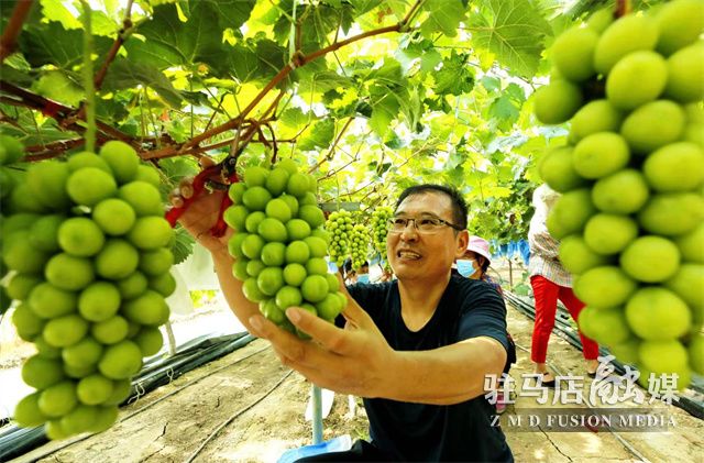 微信图片_20220810150037.jpg