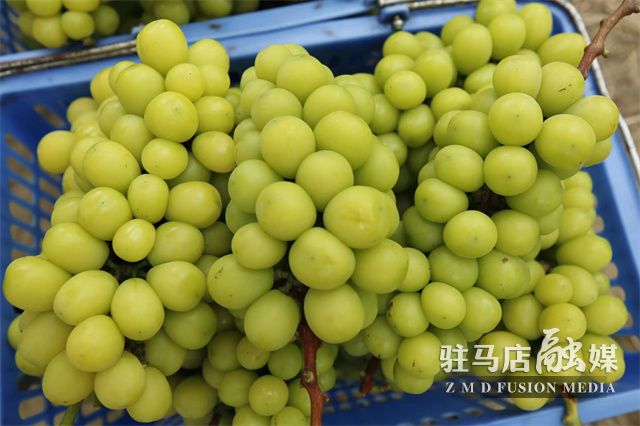 微信图片_202208101500373.jpg