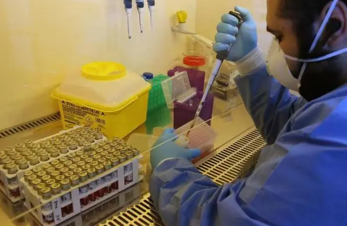 英国检测出更多脊髓灰质炎病毒毒株