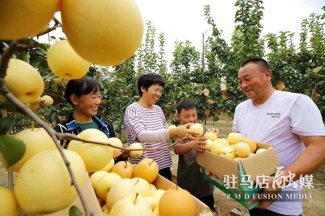 微信图片_202208161607021.jpg