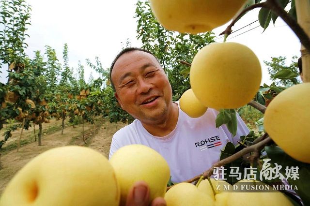 微信图片_202208161607023.jpg