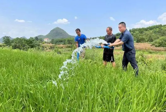 拨付2亿元！两部门支持受灾地区抗旱救灾