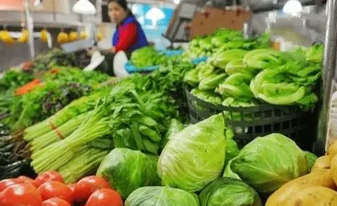 高温天对菜价影响几何？下半年走势如何？专家解读