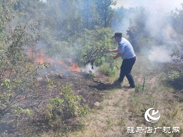泌阳民警秒变“消防卫士”火速处置一起山火险情