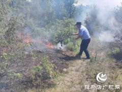 泌阳民警秒变“消防卫士”火速处置一起山火险情