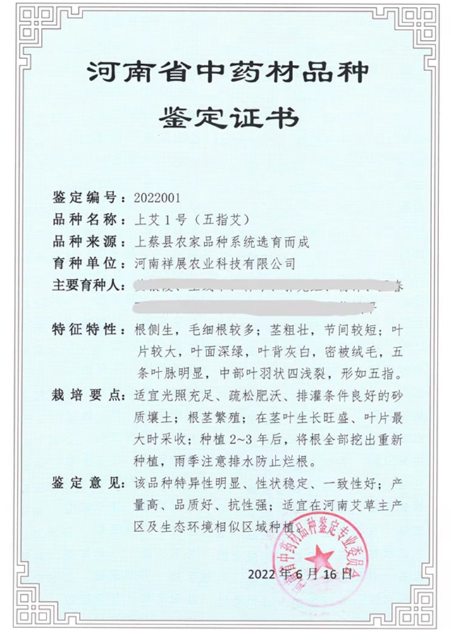 上蔡县：艾草之花开出“双喜临门”