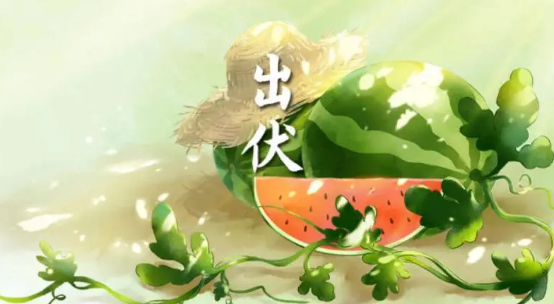 今天出伏！“加长版三伏”终于结束啦