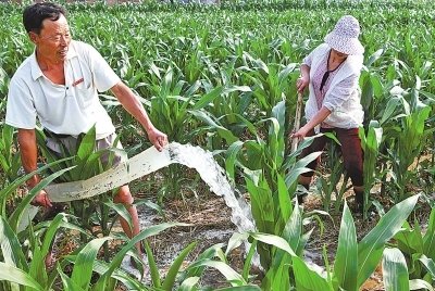 扎实做好抗旱保秋工作 全力夺取秋粮丰产丰收丨新舟60来豫支援抗旱增雨