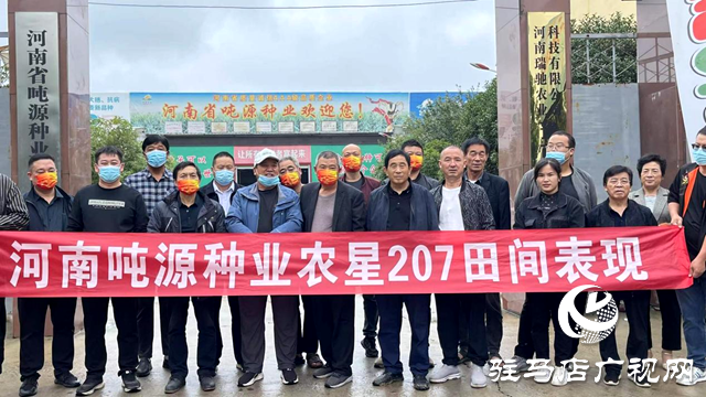 吨源种业农星207玉米观摩会成功召开