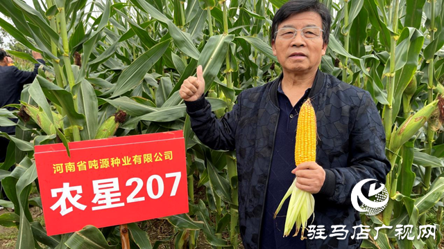 吨源种业农星207玉米观摩会成功召开