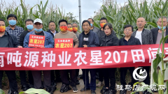 吨源种业农星207玉米观摩会成功召开