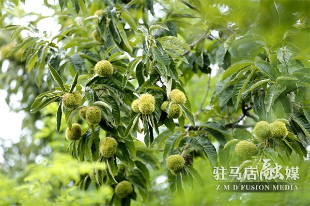 微信图片_20220831160215.jpg