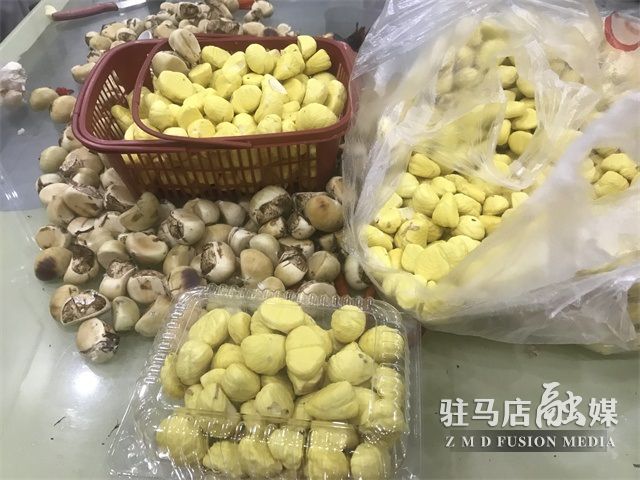 微信图片_202208311602168.jpg