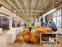 驻马店泌阳：郭集烟站今日开磅