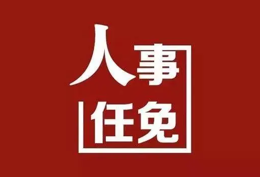 河南4市最新人事任免，涉副市长、局长等