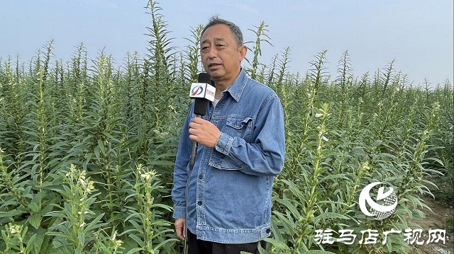 驻马店市老科协开展“科技助力三农”志愿活动