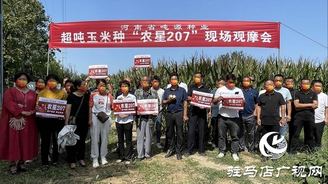农星207观摩会：“金种子”引起种粮大户围观