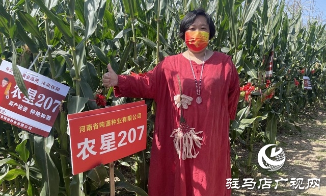 农星207观摩会：“金种子”引起种粮大户围观