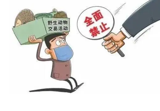 平舆县：多措并举 严厉打击破坏野生动物资源违法犯罪