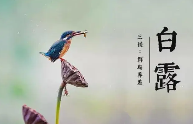7日23时32分将迎来白露，专家提醒适时增减衣物以免受凉