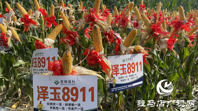田间地头送科技 六丰观摩促振兴