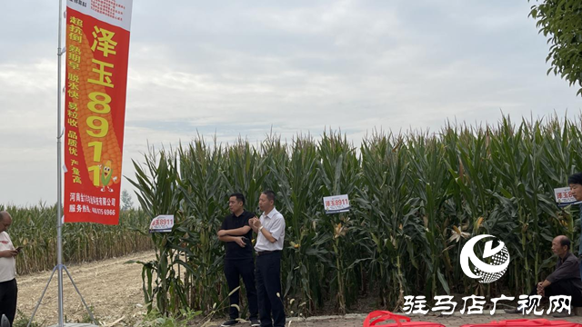 田间地头送科技 六丰观摩促振兴