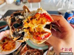 还没长好！肥美大闸蟹，缺席中秋餐桌