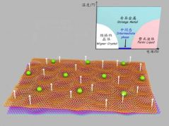 我国科学家实现量子模拟领域新突破