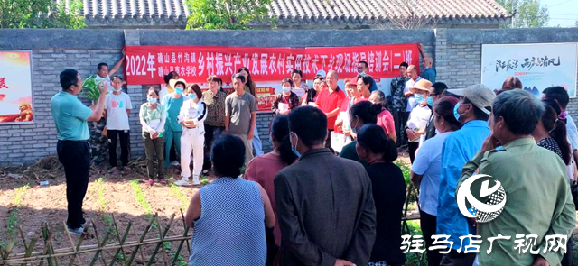 确山县设施蔬菜农技提升行动助力蔬菜产业振兴