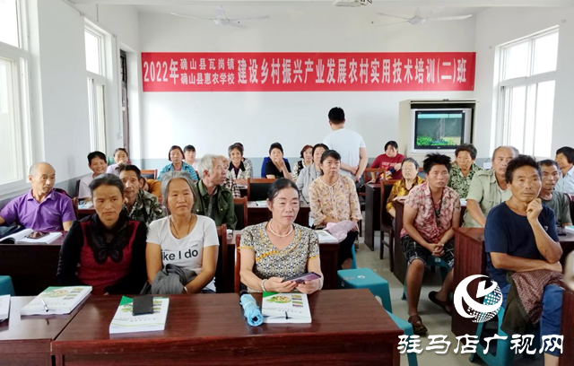 确山县设施蔬菜农技提升行动助力蔬菜产业振兴